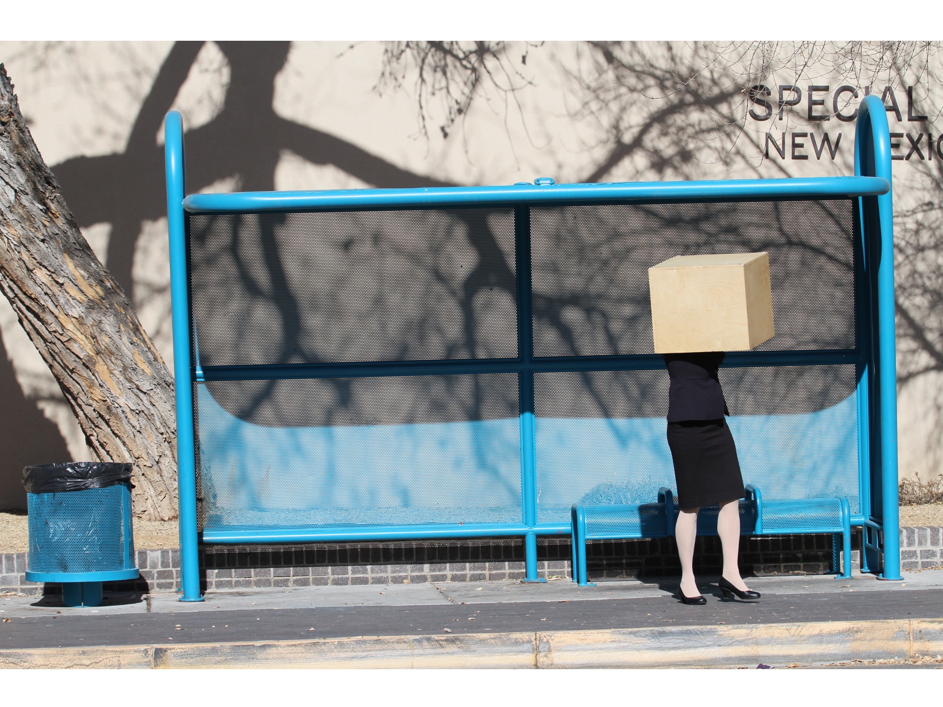 Dance. Woman. House. (Albuquerque) — view 2