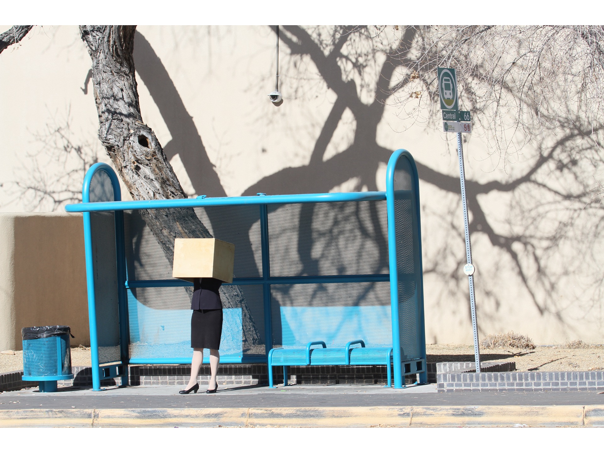 Dance. Woman. House. (Albuquerque) — view 3