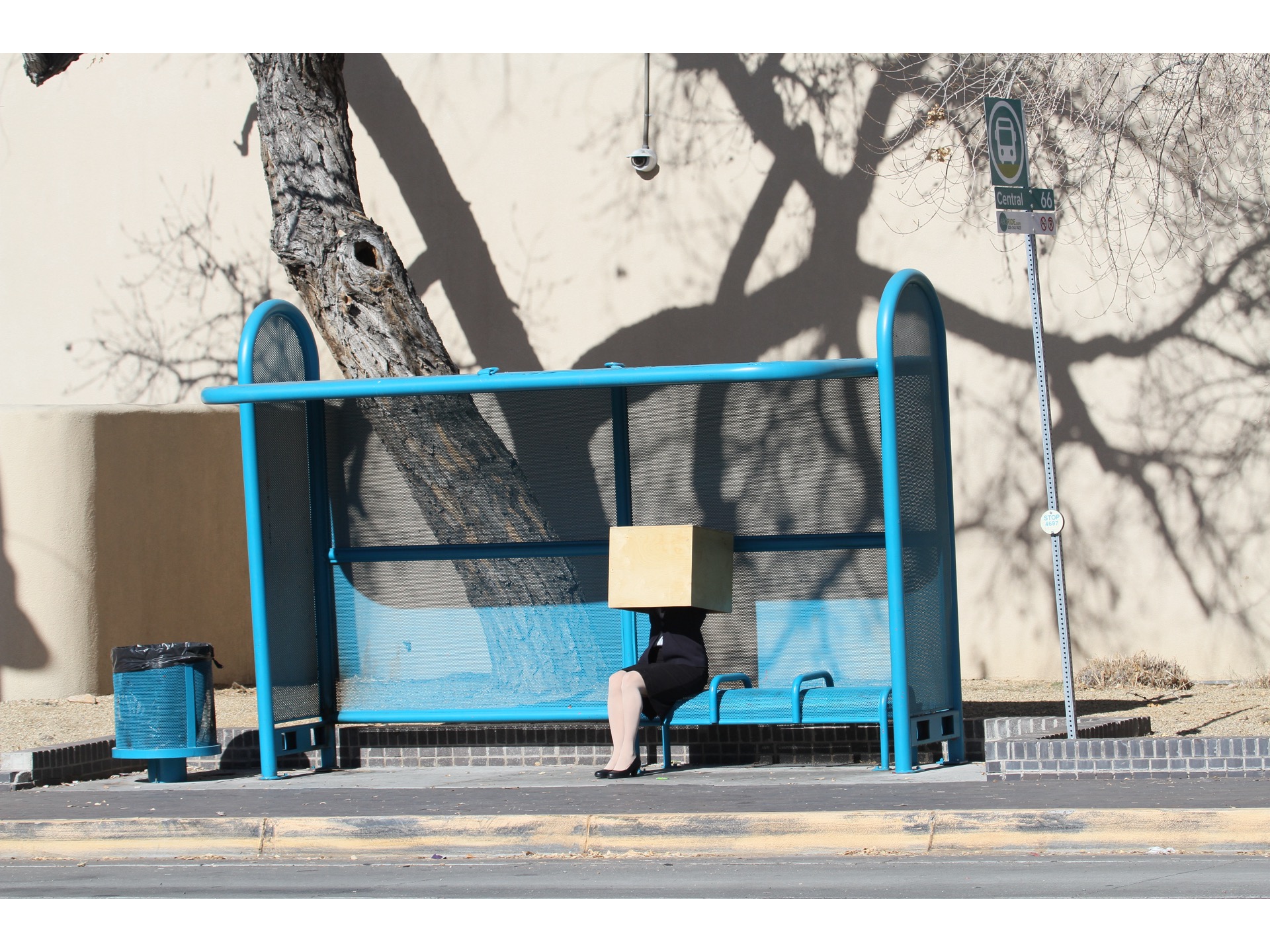 Dance. Woman. House. (Albuquerque) — view 4