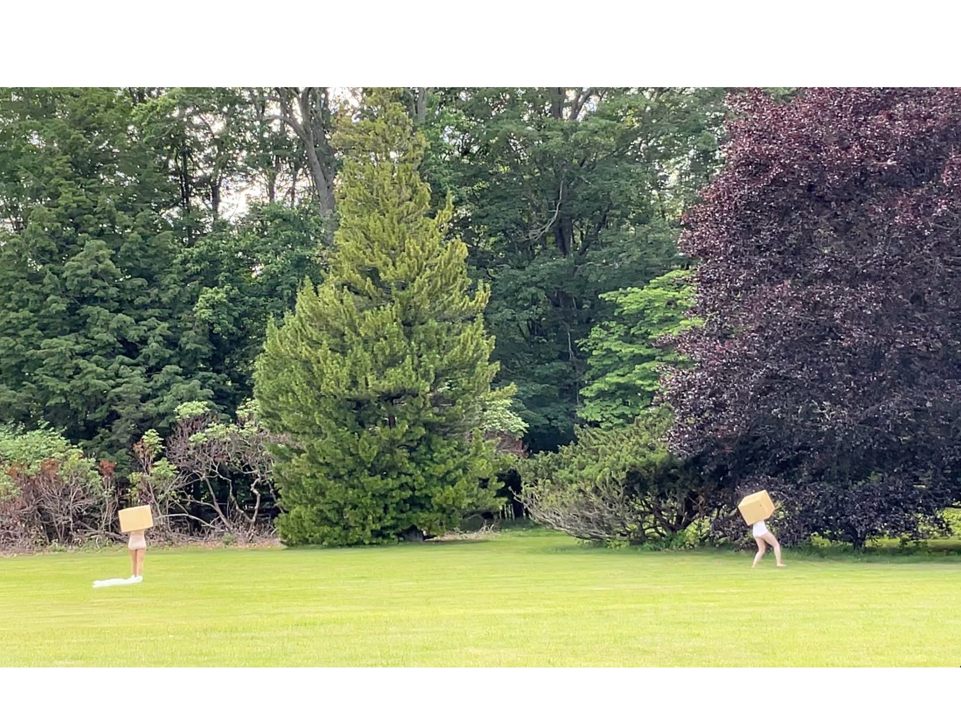 Dance. Woman. House. (V) — view 3
